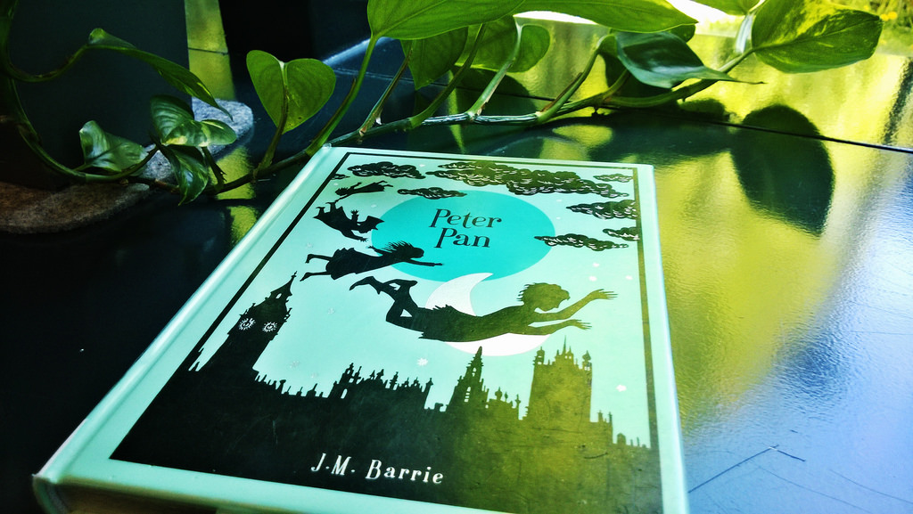 The Boy Who Would Not Grow Up