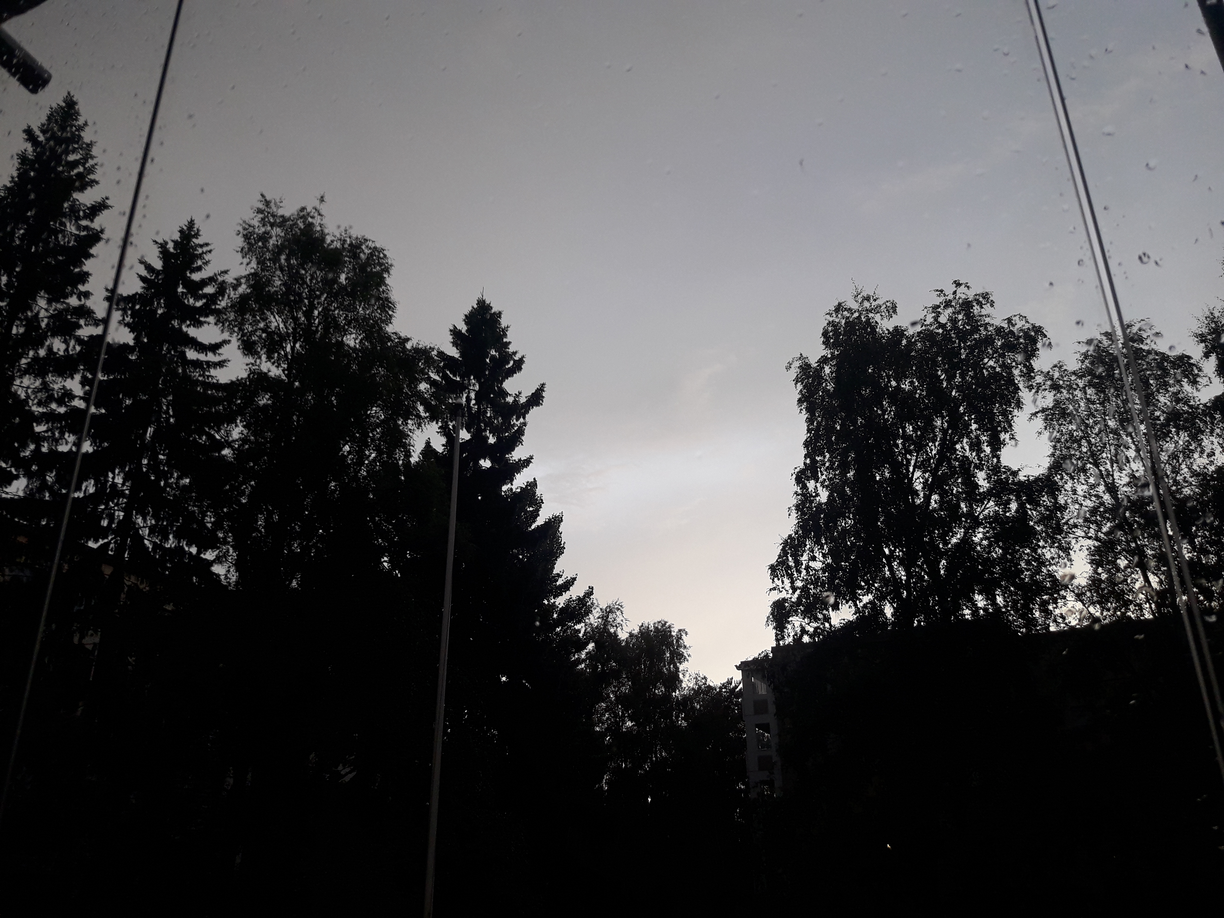 The Sunday Post #7: Fall In Love With Your Solitude