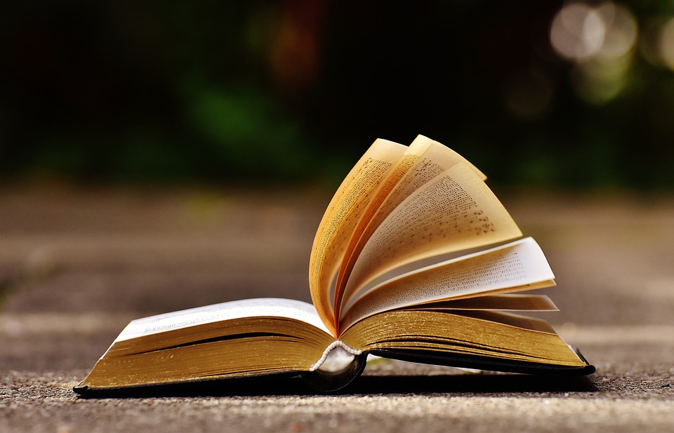 Why I read a book a day (and why you should too): the law of 33%