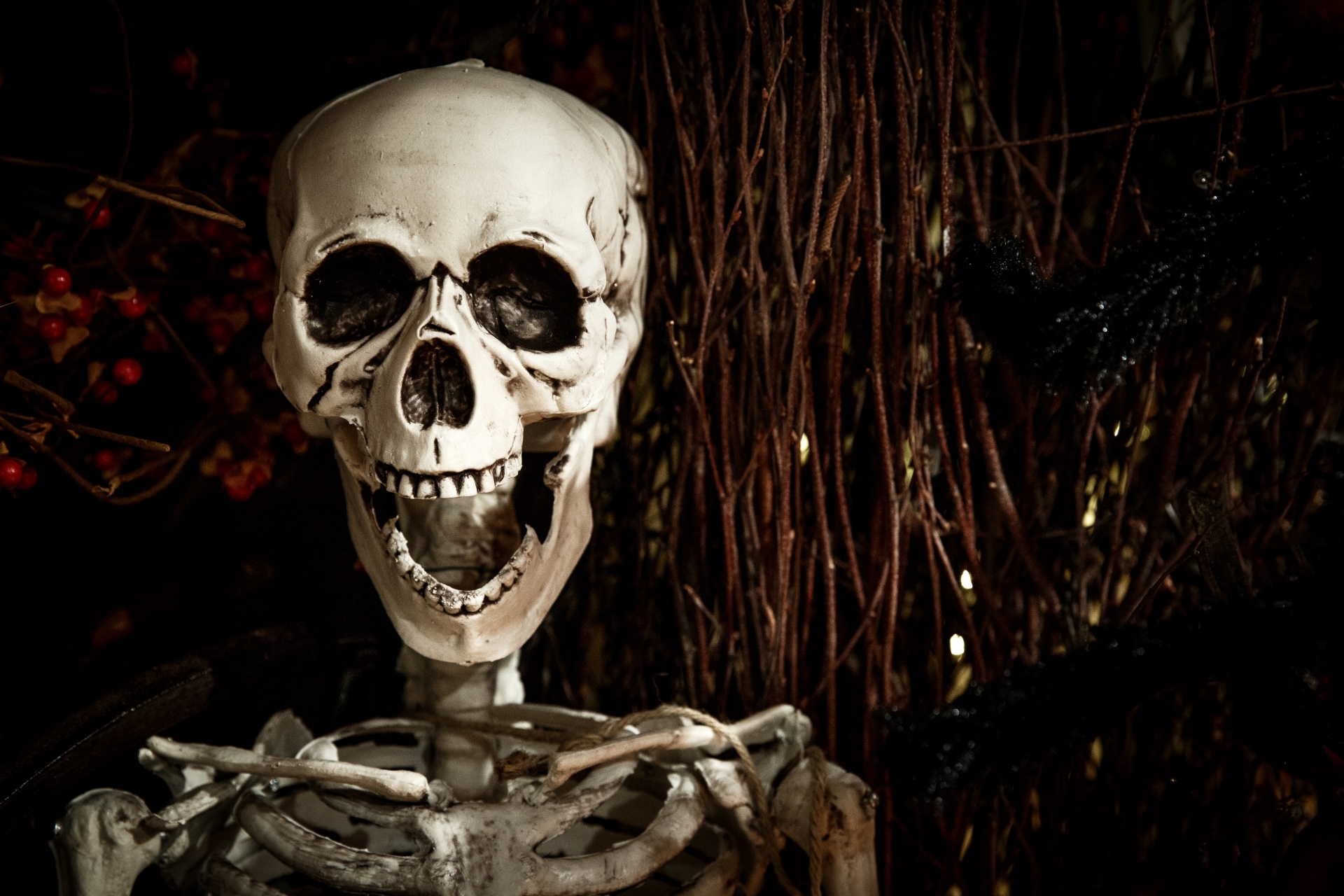 Ten Book Recommendations For Horror Junkies